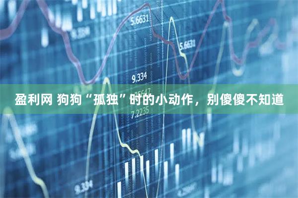 盈利网 狗狗“孤独”时的小动作,别傻傻不知道