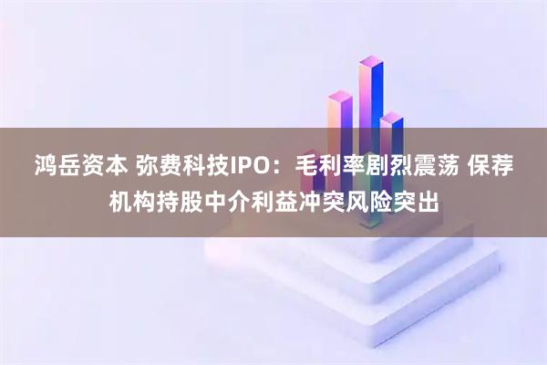 鸿岳资本 弥费科技IPO：毛利率剧烈震荡 保荐机构持股中介利益冲突风险突出